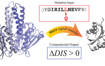 two component signaling proteins.